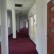 Lokal na wynajem